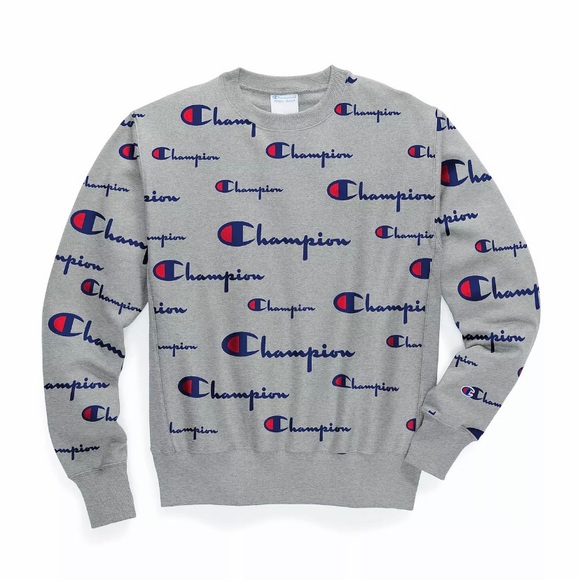 champion script long sleeve mens hoodie